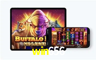 Recursos de Bônus win656